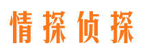 民丰侦探公司